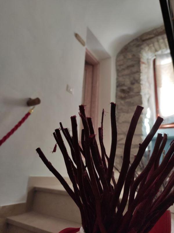 Regnos Altos Boutique Rooms 博萨 外观 照片
